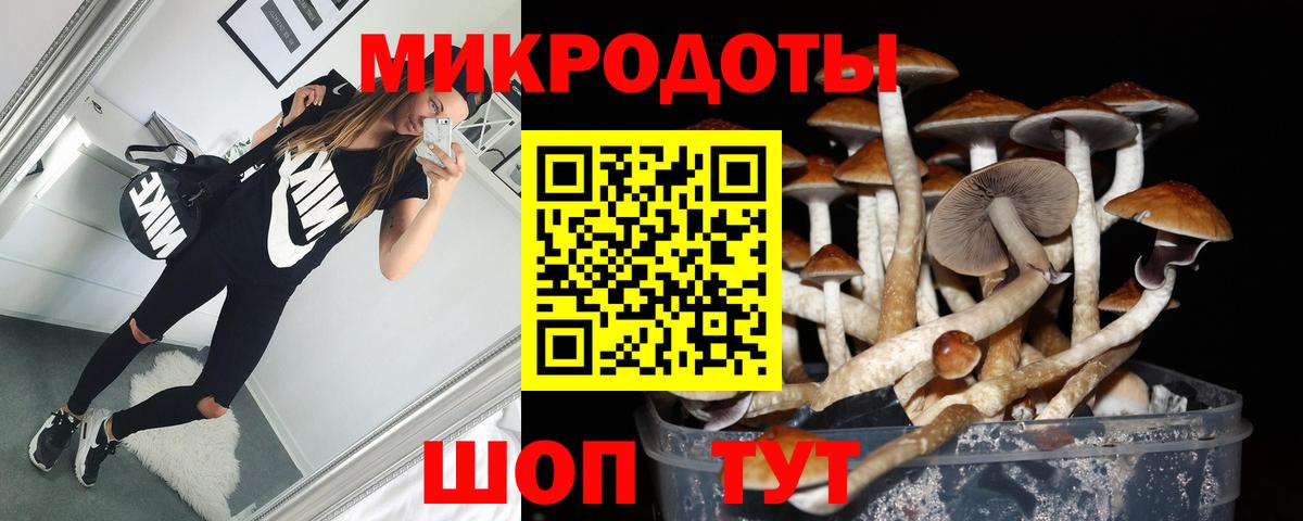 Галлюциногенные грибы Magic Shrooms  Вход с VPN  Дивногорск 